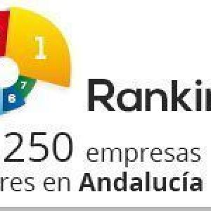 Ranking 2013