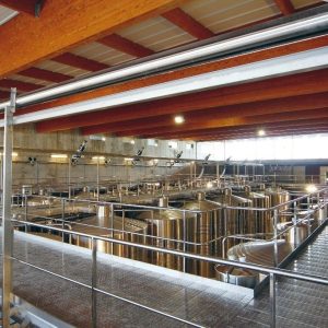 La cooperativa Solagüen se incorpora a Dcoop-Vinos Baco
