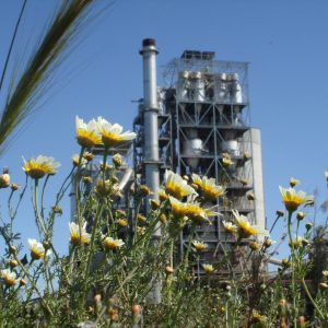 El valor de la EMAS para la planta de Portland en Alcalá de Guadaíra