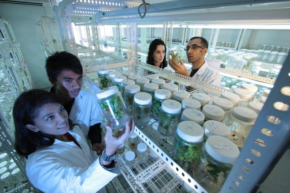 Proyecto para internacionalizar pymes innovadoras por medio de ‘financiación en cascada’