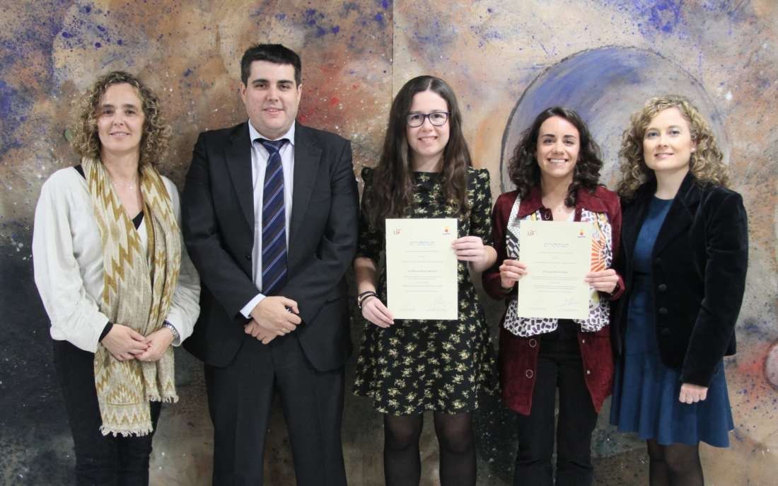 Almacenamiento y el diseño de una red de baja tensión, premios Cátedra Endesa