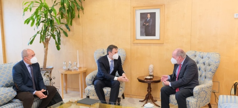 Endesa presenta a la Diputación de Sevilla su plan de inversión en redes de 220 millones de euros<ul><li class='subtitulo'>Este plan se focaliza en las redes de distribución, automatización y digitalización</li></ul>