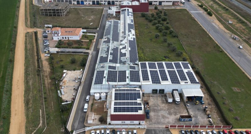 Mercados21 | Inés Rosales estrena en su fábrica una instalación fotovoltaica de 1.336 paneles