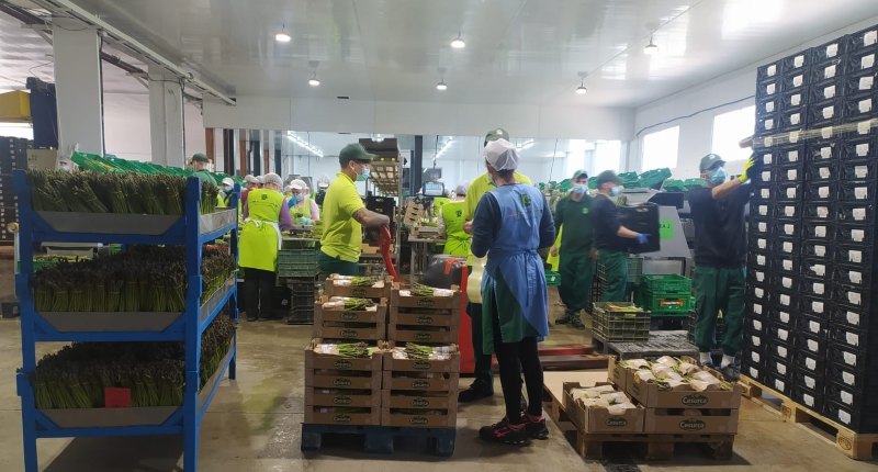 Mercados21 | Cooperativas Agro-alimentarias de Andalucía ha ejecutado alrededor de 200 actividades para mejorar la competitividad empresarial de las cooperativas