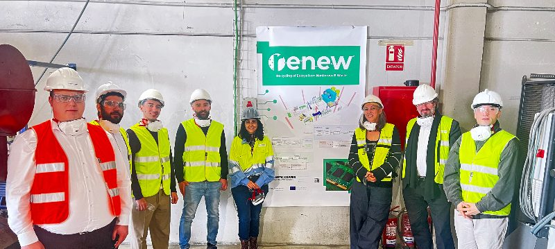 proyecto renew