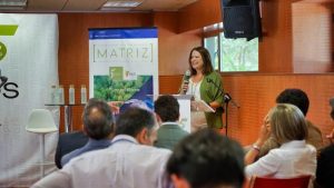 El Foro Matriz 2025 reúne a 50 empresas con Moeve, Innovasur, Novaindef y Gestamp para impulsar la innovación abiertaEl objetivo es conectar empresas, centros de generación de conocimiento y entidades público-privadas y detectar oportunidades