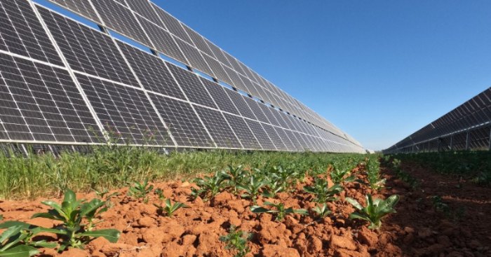 planta solar de carmona