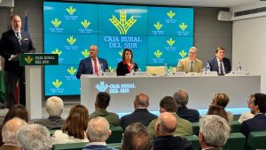 La Asamblea de Caja Rural del Sur aprueba los resultados de 2025, con un volumen de negocio de 19.244 millones de eurosTras crecer cerca de 1.500 millones (+8,2 %), reforzando su cuota de mercado, año del 25 aniversario de la entidad