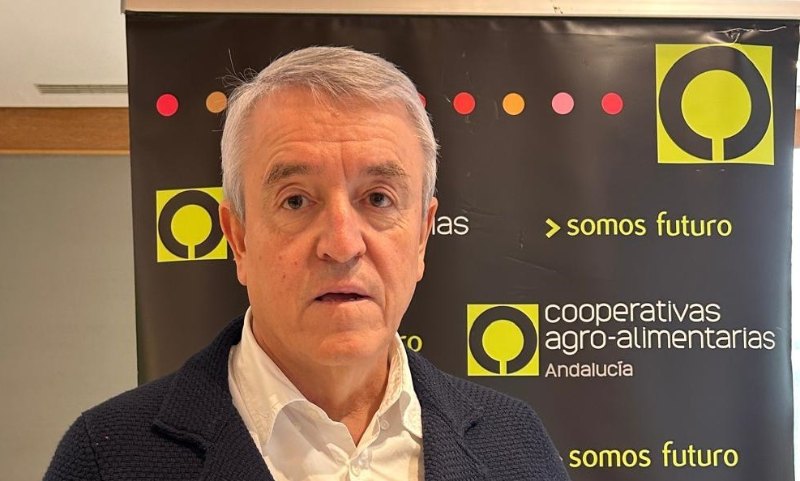 cristobal gallego cristobal gallego