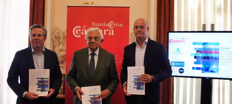 informe estudios camara 2026 informe estudios camara 2026