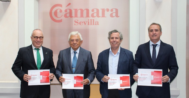 informe impacto camara informe impacto camara