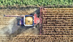 La Consejería de Agricultura y CTA participan en el proyecto Bioscales para impulsar la cooperación regional en bioeconomíaEl proyecto busca impulsar ecosistemas de innovación en bioeconomía más sostenibles y resilientes en Europa